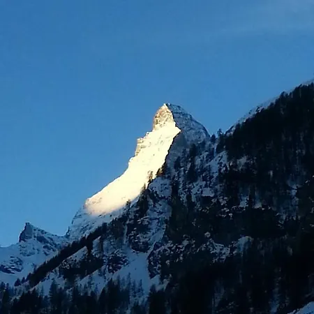 Haus Rossignol B